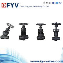 Forged Steel Globe Valve